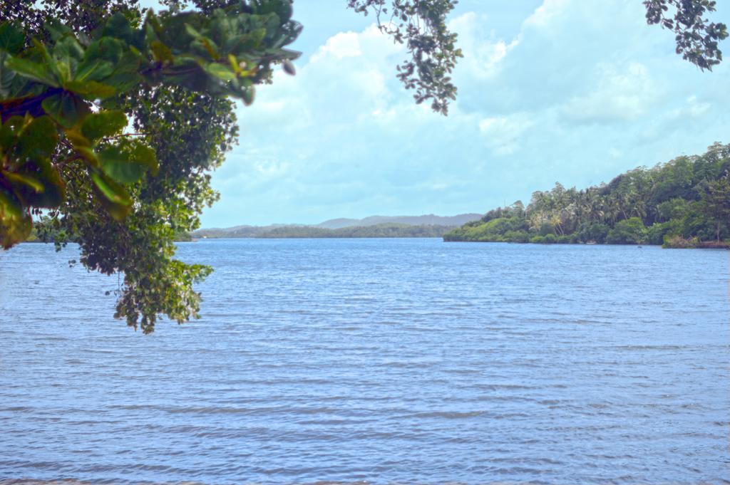 Lumbini Lagoon コッガラ 部屋 写真