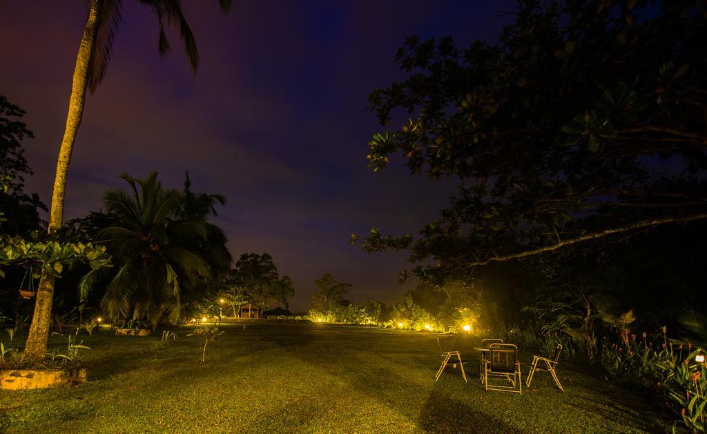 Lumbini Lagoon コッガラ エクステリア 写真