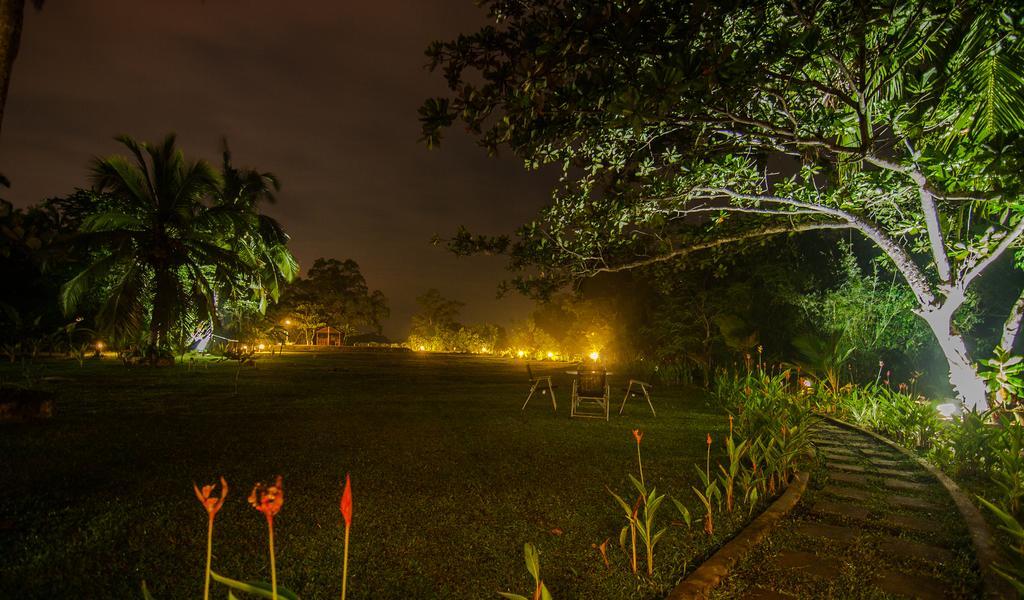 Lumbini Lagoon コッガラ エクステリア 写真